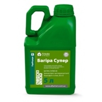 Багіра Супер