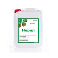 Норіл