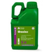 Фенікс