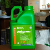 Авіценна
