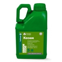Козак