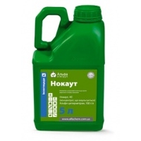 Нокаут