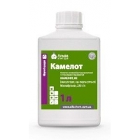 Камелот