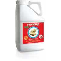 РЕКОРД, ТН