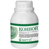 Конвой