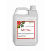 Метрон