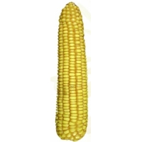 Юніформ™ 446 SE, CE