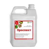Проспект