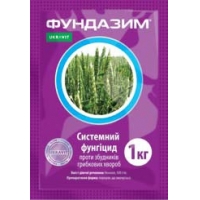 ФУНДАЗИМ, ЗП